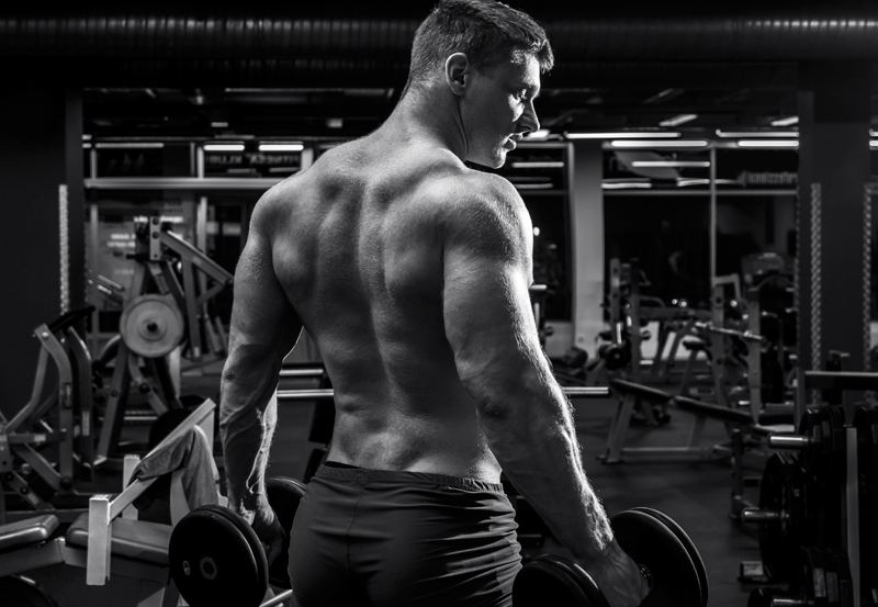 quanto tempo para ganhar massa muscular